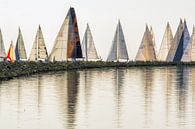 Zomer in Friesland op het IJsselmeer bij Stavoren. van Harrie Muis thumbnail