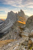 Seceda Zuid-Tirol