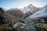 Himalaya hike in Nepal van Ellis Peeters thumbnail