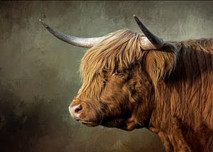 Schottischer Highlander