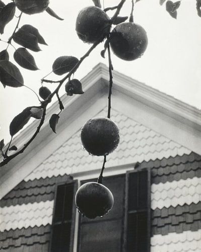 Gable en appels (1922) door Alfred Stieglitz