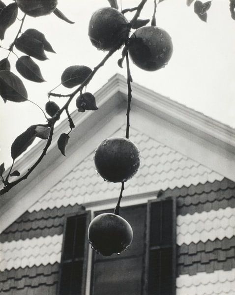 Gable and Apples (1922) by Alfred Stieglitz von Peter Balan