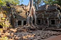 Tomb Raider Temple by Tilo Grellmann thumbnail