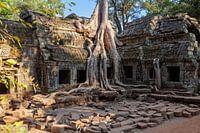 Tomb Raider Tempel