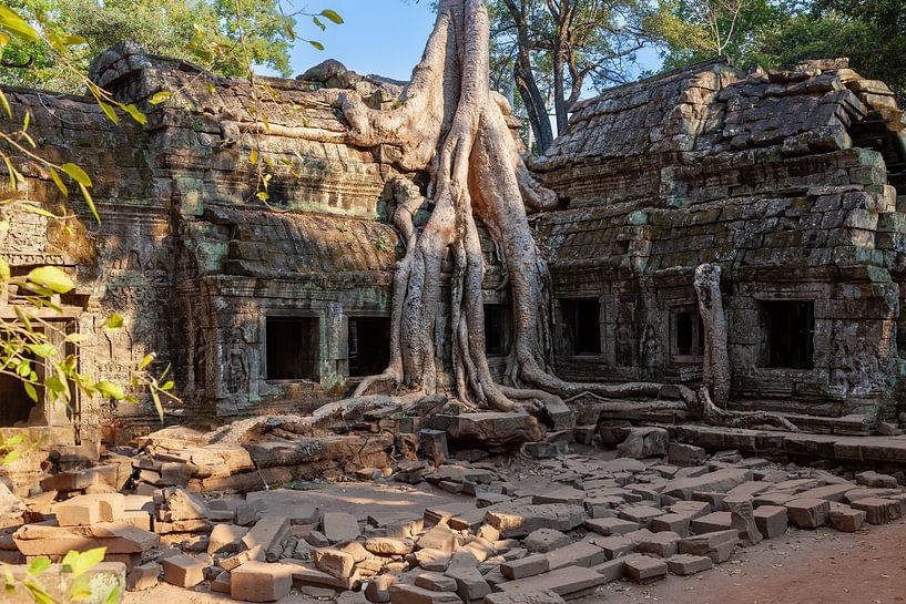 Tomb Raider Temple by Tilo Grellmann