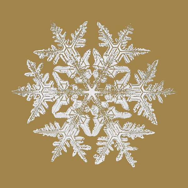 Crystal on ocher yellow II by Mad Dog Art