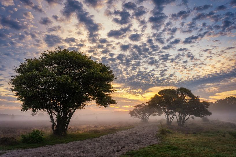 Clouds van Bart Hendrix