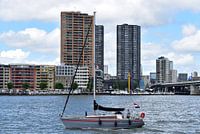 rotterdam