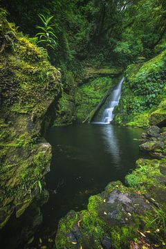 New Zealand Waterfall in the Jungle by Jean Claude Castor