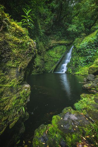 Nieuw-Zeelandse waterval in de jungle