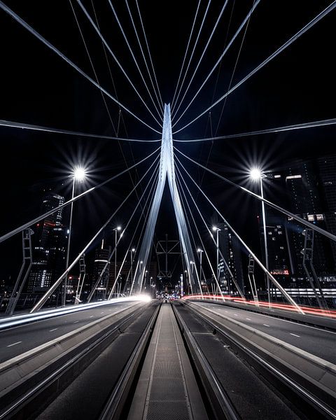 Erasmus Bridge by Jeroen van Dam