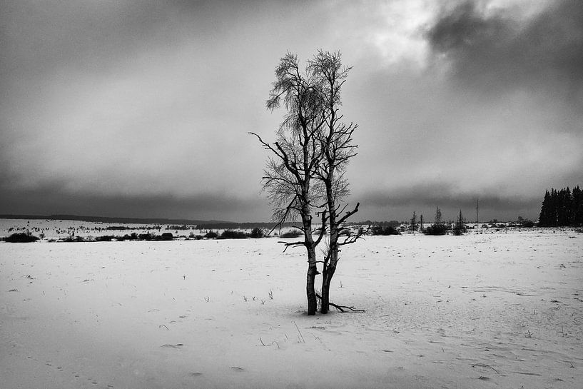  Winter-Dunkelheit von Francois Debets