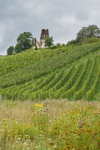Ruins of Liebfrauenkirche / Wolfer Kloster