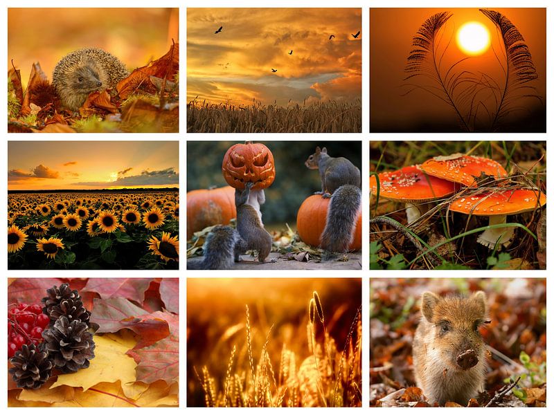 herfst collage by Marja Hoebe