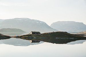 Hardangervidda sur Kaj Hendriks