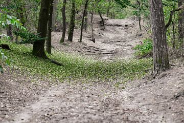 lokale grüne Dusche von Tania Perneel