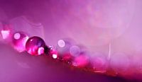Drop Art Pink