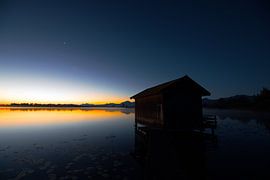 Dawn van Marko Sarcevic