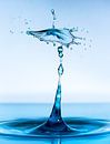 Water drops #10 van Marije Rademaker thumbnail