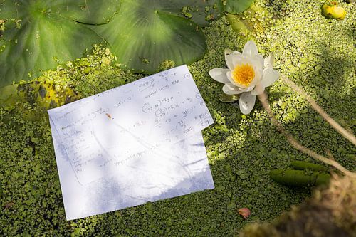 Hoge wiskunde in een gracht in Delft