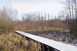 Wintergezicht von Ad Steenbergen