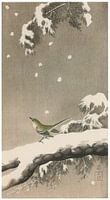Ohara Koson - Japanese reed warbler on snow pine