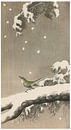 Ohara Koson - Japanese reed warbler on snow pine by Peter Balan thumbnail