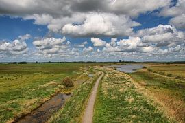 Uitkijk over het Groninger Landschap by Tineke Visscher
