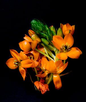 Blume von Hennie Zeij