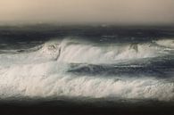Nordsee von Kenneth Stamp Miniaturansicht