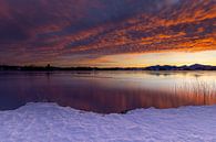 Winter zonsopgang op de Staffelsee van Teresa Bauer thumbnail