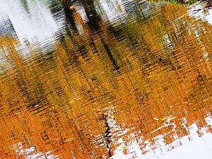 Urbane Reflektion - Wunderbarer Herbst