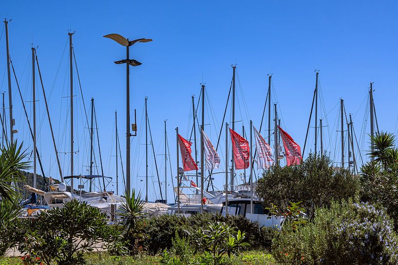 Croatia : Island Ugljan - Preko by Photoart-Naegele