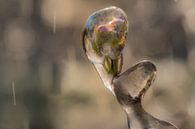 Irrigating blossoms in the Betuwe by Moetwil en van Dijk - Fotografie thumbnail