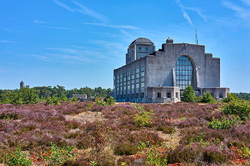 Radio Kootwijk inmitten der blühenden violetten Heide von eric van der eijk
