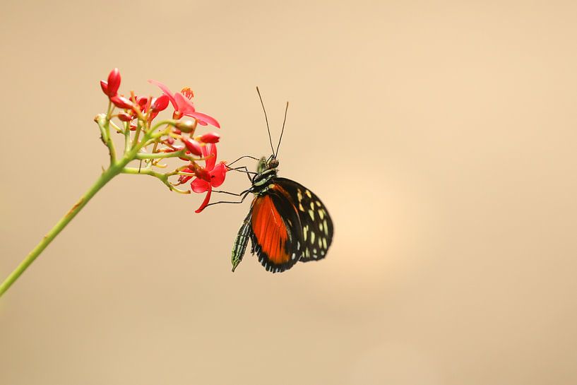 Hold on and never let go by Fotografie Jeronimo