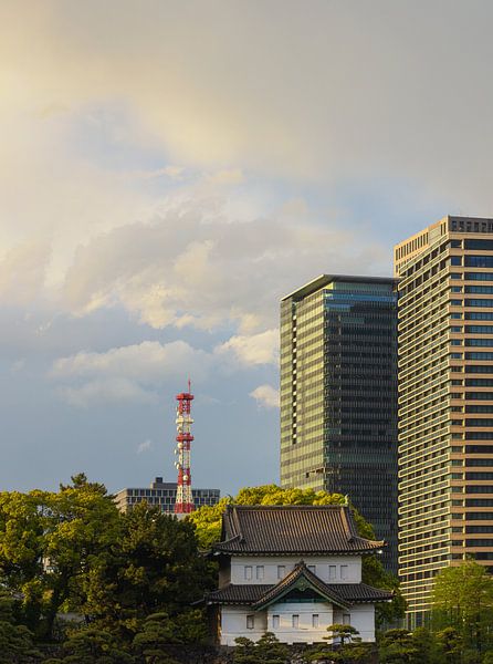 Tokyo Imperial Palace and National Garden Kokyo (Japan) by Marcel Kerdijk