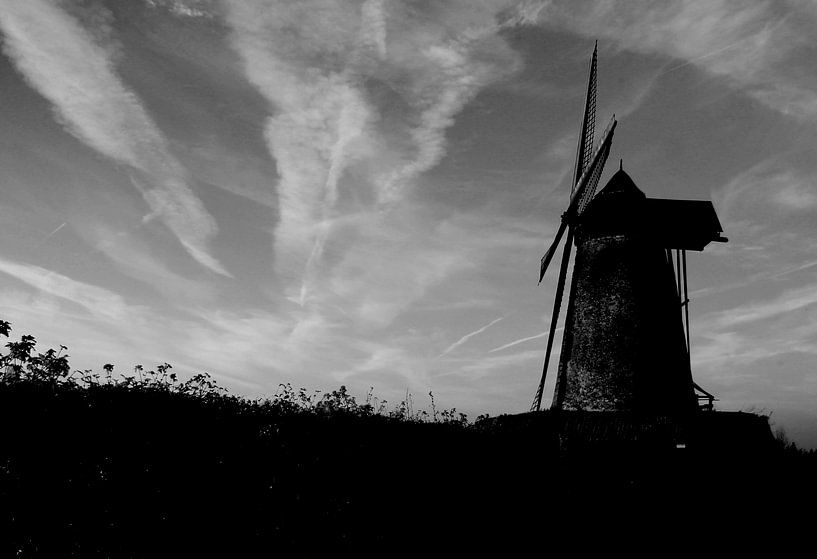 Molen te Lembeek, Halle von Ronald De Neve