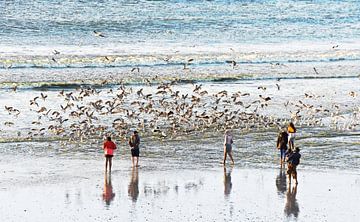 Zeemeeuwen en mensen op het strand mixed media van Werner Lehmann