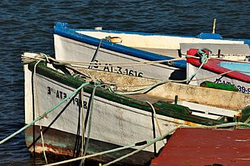 Kleine vissersboten op de Segura van insideportugal