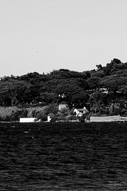 Die Madrague Brigitte