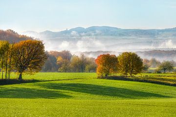 Landscape with fields and trees by Katho Menden