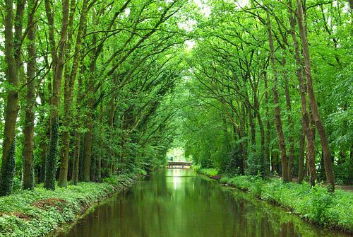 Rivierlandschap bij de Hase