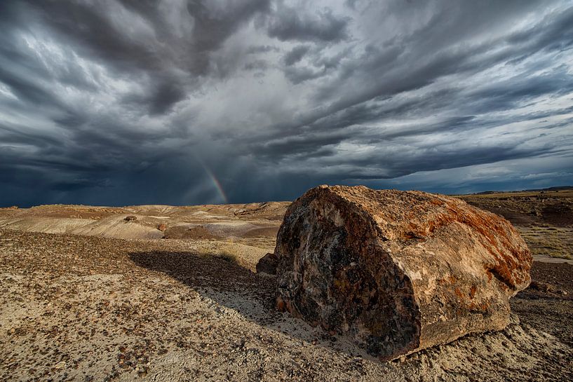 Petrified Forest N.P. Verenigde Staten van Amerika. by Tilly Meijer