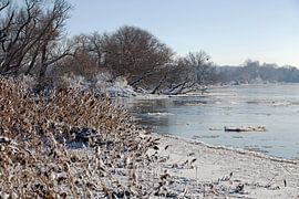 Die Elbe bei Magdeburg (Sachsen-Anhalt) im Winter von t.ART