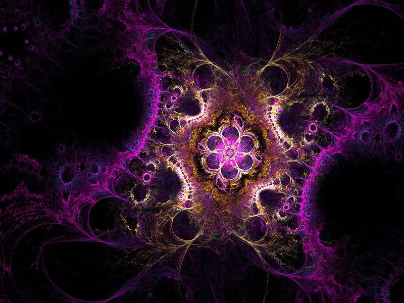 Pudendum femininum by Mixed media vector arts