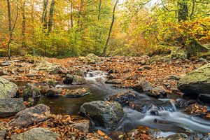 Herbst