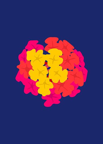 Wisselbloem in vrolijke kleuren