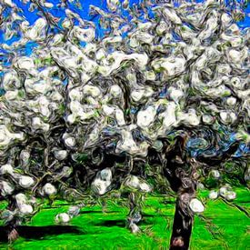 Apfelblüte von Helmut Englisch