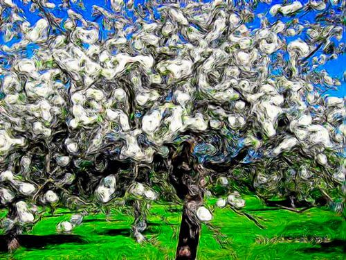 Apfelblüte van Helmut Englisch